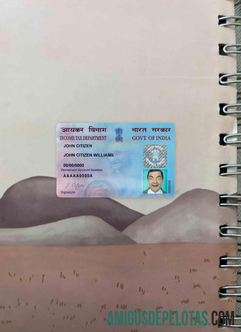 India E PAN Card olhar de foto frente amostra